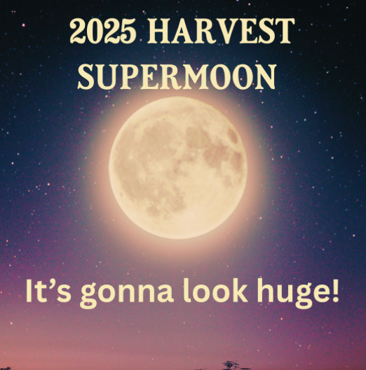Full Moon Tonight - Harvest Moon 2025
