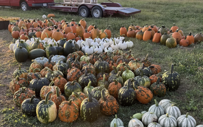 Full Moon Tonight - Harvest Moon 2025