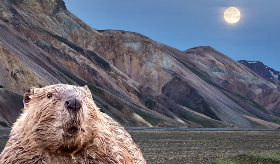 Full Moon Tonight - Beaver Moon 2025 Super Moon