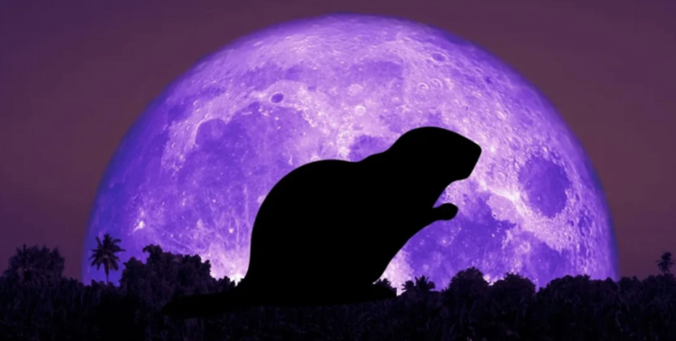 Full Moon Tonight - Beaver Moon 2025 Super Moon