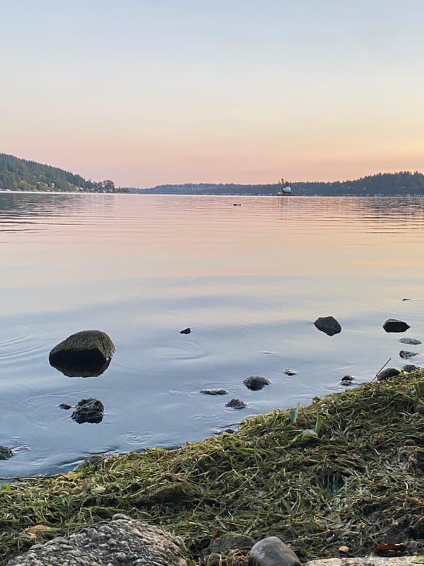 The Scent That Lingers