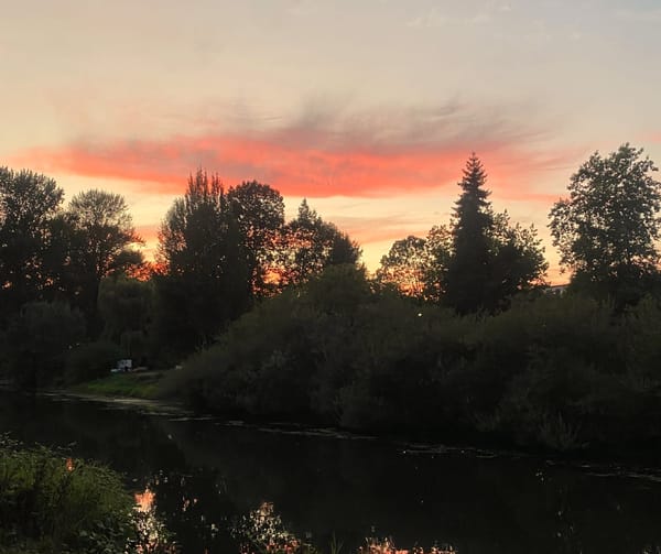 There is no Magic Cream