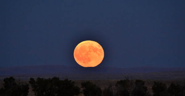 Full Moon Tonight - Harvest Moon 2025
