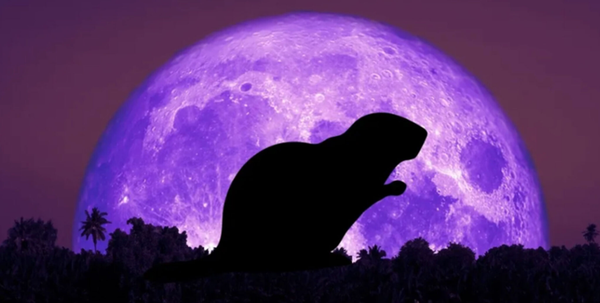 Full Moon Tonight - Beaver Moon 2025 Super Moon